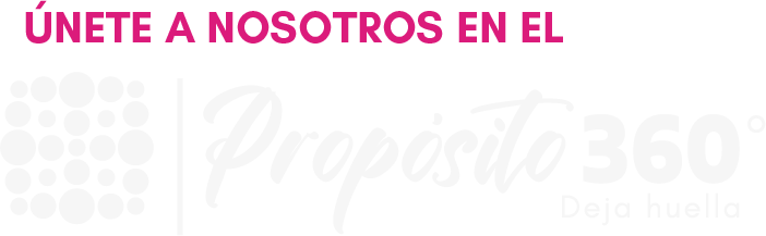 Recurso 25